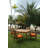 Drusilla 4 - Person Teak Wood Patio Dining Set with Square Table