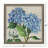 Hydrangea Study Framed Art
