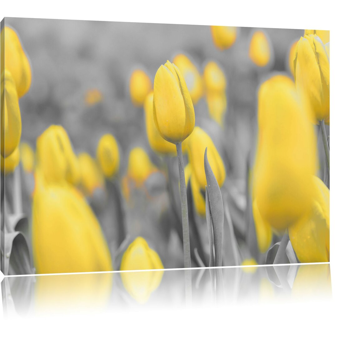 Leinwandbild Gelbes Tulpenmeer