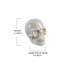 Crâne en porcelaine The Holiday Aisle®-1116563636-1116563627
