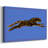 The Wild Leopard II-Gallery Wrapped Canvas-777830855
