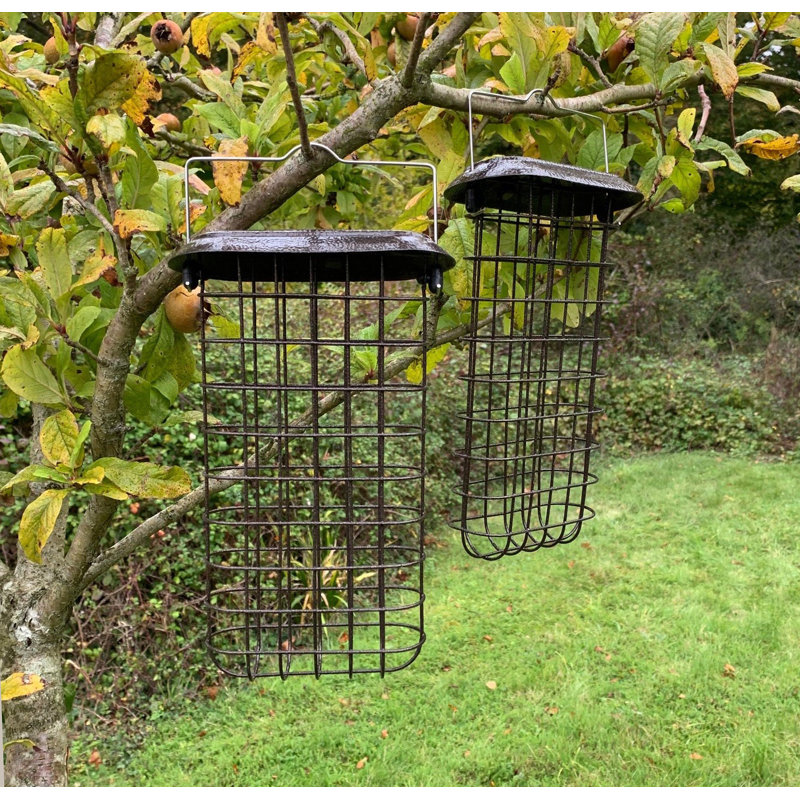 Gayatri Metal Hanging Suet Bird Feeder