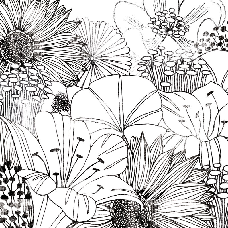 Contemporary Garden I Black And White by Michael Mullan - Wrapped Canvas Print, 51cm H x 51cm W