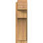 Sapin Douglas-109329344-113998552