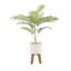 32'' Faux Palm Tree in Ceramic Planter