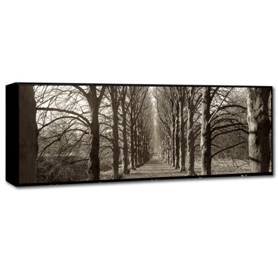 Alan Blaustein «Hampton Gates Promenade I», reproduction de photo sur toile tendue