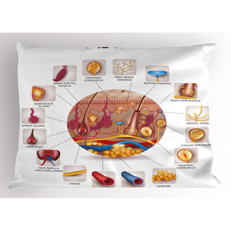 Educational Polyester Sham Set, Twin