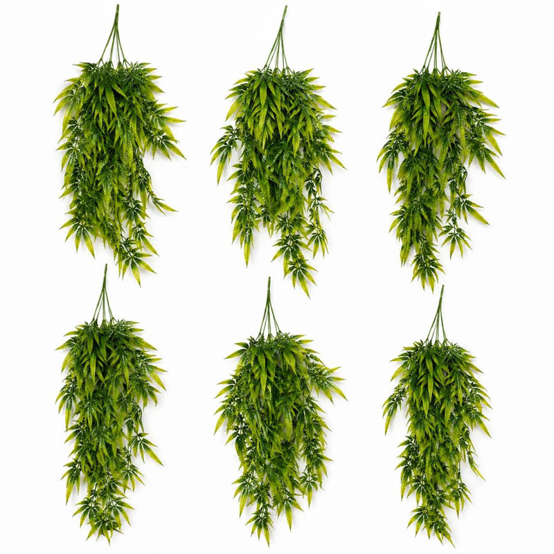 Hanging Plants X6 70cm Plant