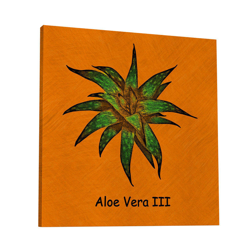 «Abstract Aloe Vera III», reproduction sur toile tendue, H 8 po x l 8 po x P 1,5 po