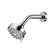 Ignite Spot 2.5 GPM Five-Function 3 3/4 in. Diameter Spray Head Wallmount
