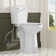 Elongated Two piece Toilet With Extra Tall Bowl, Powerful 1.28GPF Single Flush, Toilets For Seniors & Disabled