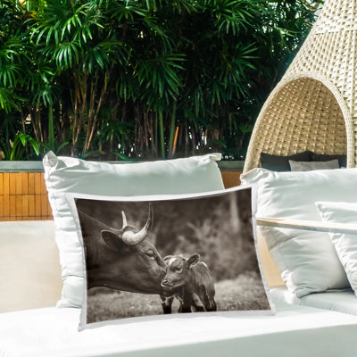 Longhorn Kiss Photography Outdoor Printed Pillow by Nathan Larson