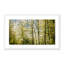 Glittering Trees Print by Geoffrey Baris-48618021-48618022