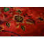 1920s Pink Floral Open Field Modernist Knotted Wool Antique Chinese Art Deco Rug