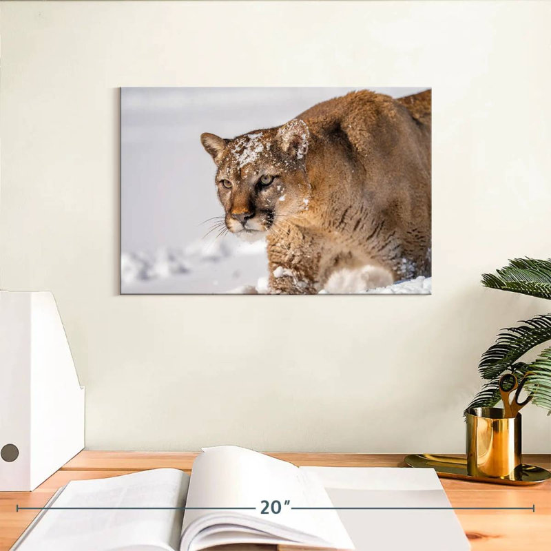 Ronce de lions en hiver, H 8 po x l 12 po