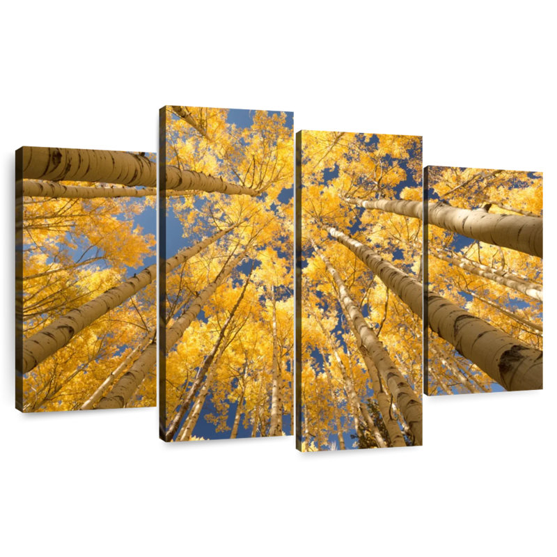 Harnek Golden Aspen Canopy