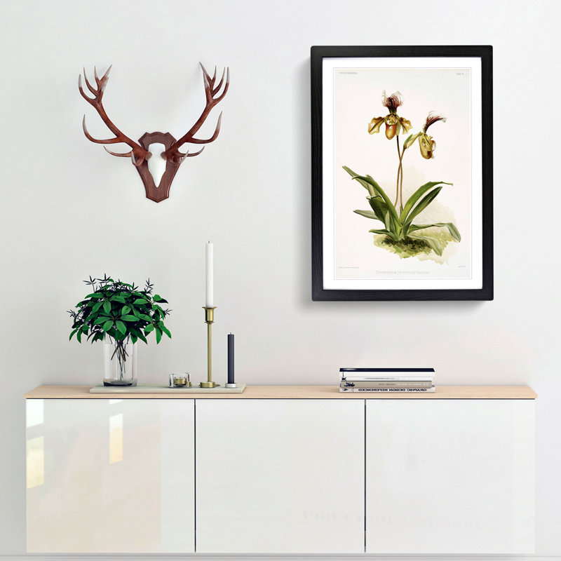 Magnolia Flowers Illustration Tab. 77 by Frederick Sander - Picture Frame Painting Print, 91cm H x 60cm W x 2cm D, Black