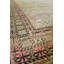 Khotan One-of-a-Kind 7' x 14'9" Area Rug