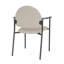 Chaise d'invité Chat Chat-98671301-98881775
