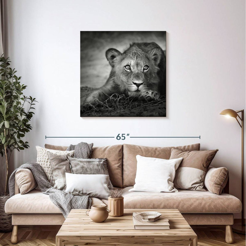 Brampt Young Lion Head, 36" H x 36" W