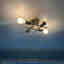 Photos des clients 1 de 2