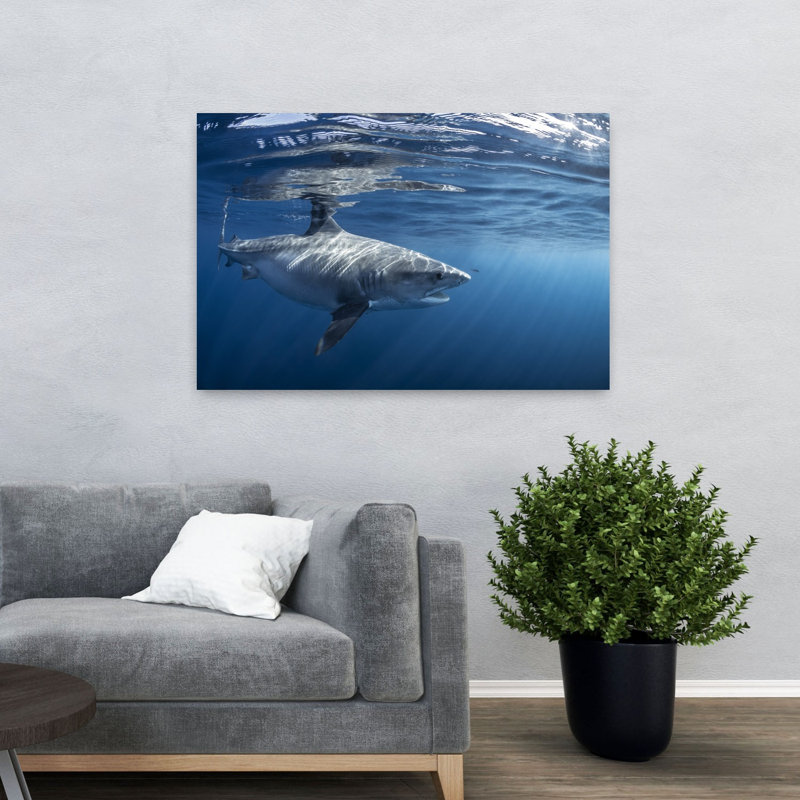 Impression d'art mural majestueux requin blanc contemporain, 32" H x 48" W