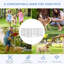 Enclos pour animaux-99358043