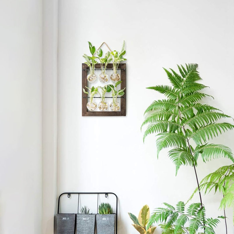 Plante terrarium avec support en bois