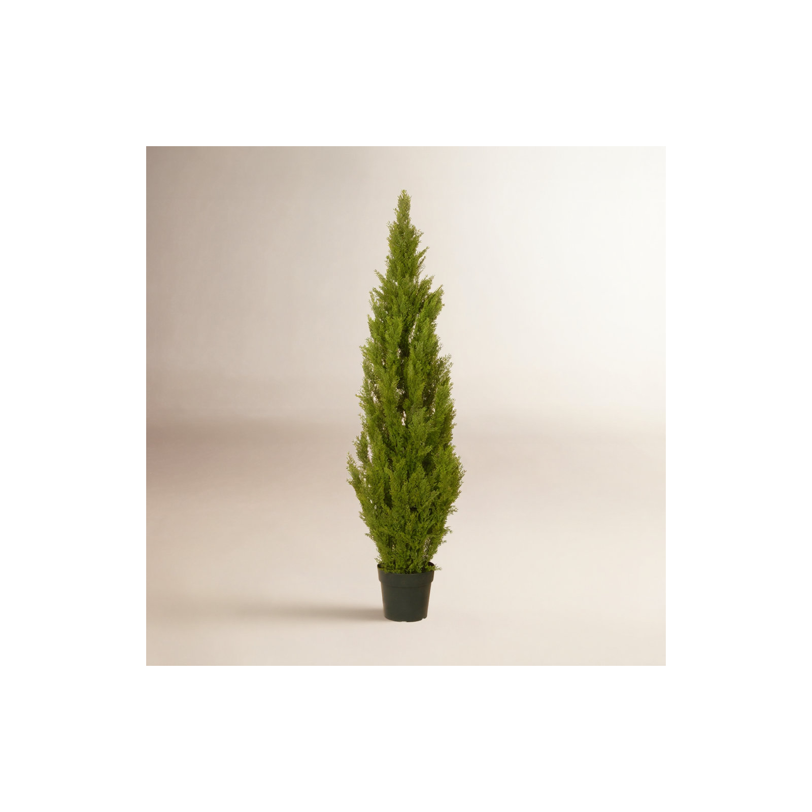 The Holiday Aisle® Cedar Tree, 65" H x 13" W x 13" D