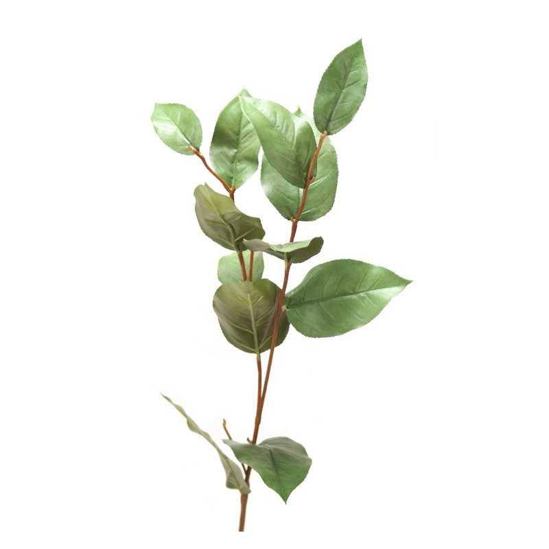 Arrangement