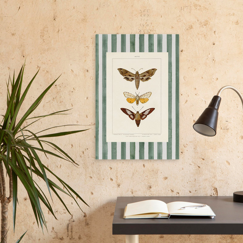 Rétro papillon de nuit I - art de papillon éphémère brun crème, H 24 po x l 16 po