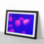 Pink Jellyfish - Picture Frame Painting Print-55583893-55583894