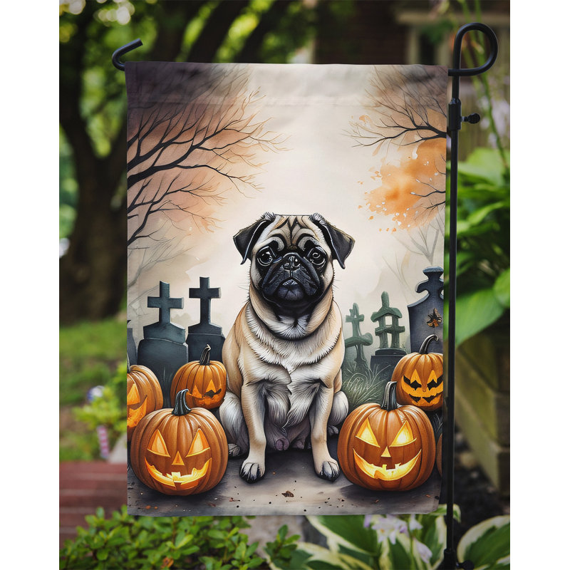 Double Sided 15.5'' H x 11.25'' W Polyester Halloween Garden Flag