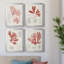 «Vintage Coral Study I», toile encadrée de qualité supérieure - prête à être accrochée-1966984651-1966984648