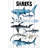 'Sharks' Art Print On White Wood-61297429