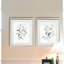 "Water branches I", ensemble de 2 reproductions d’art graphique encadrées sur papier