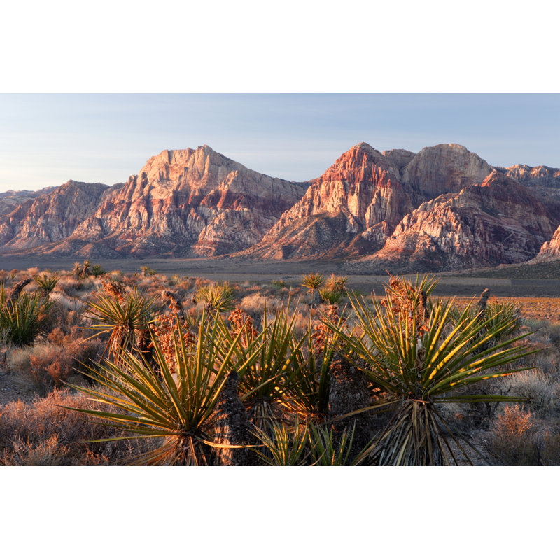 «Morning at Red Rocks» par Ericfoltz, H 24 po x l 36 po