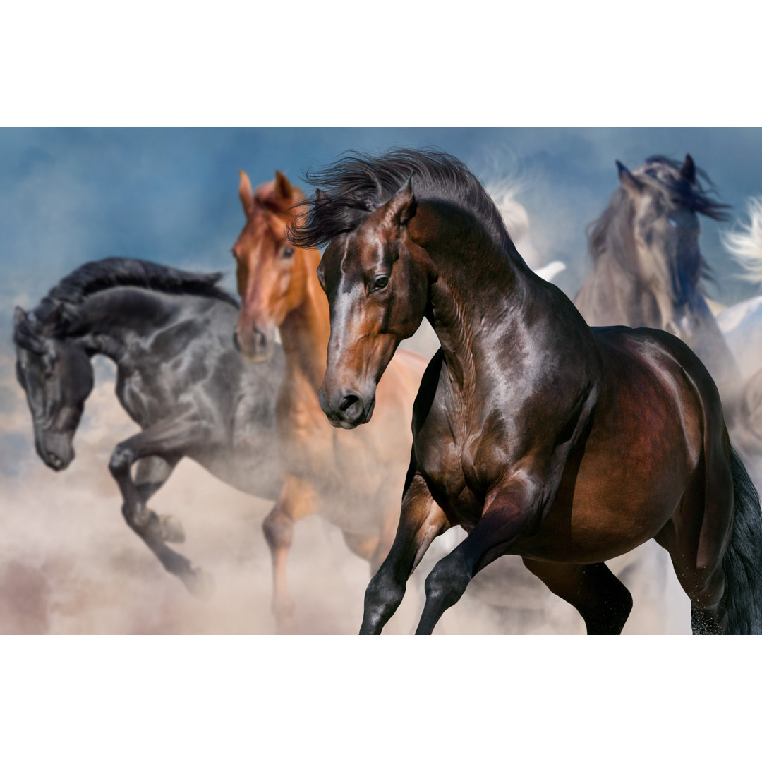 Horse Portrait In Herd by Callipso - Wrapped Canvas Print