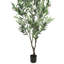 Faux Olive Tree Plant in Pot-1026647872