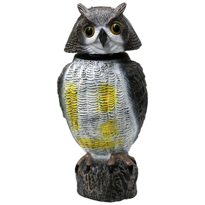 Tête de jardin