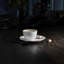 Teck Tea Cup And Saucer