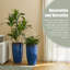 23.5"H Set Of 2 Oversized Gradient Green Faux Ceramic  Tall Plastic Planter-1795209452