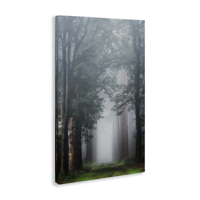 «Calm Forest Clearing» par Martin Podt, H 24 po x l 16 po