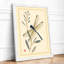 Dragonfly and Seedpod Japandi - Framed Print-1533005809-1533005815