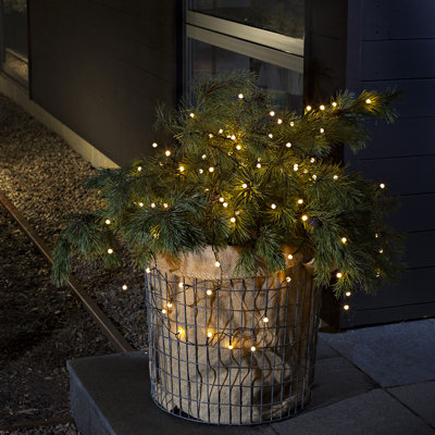 Berry String Lighting