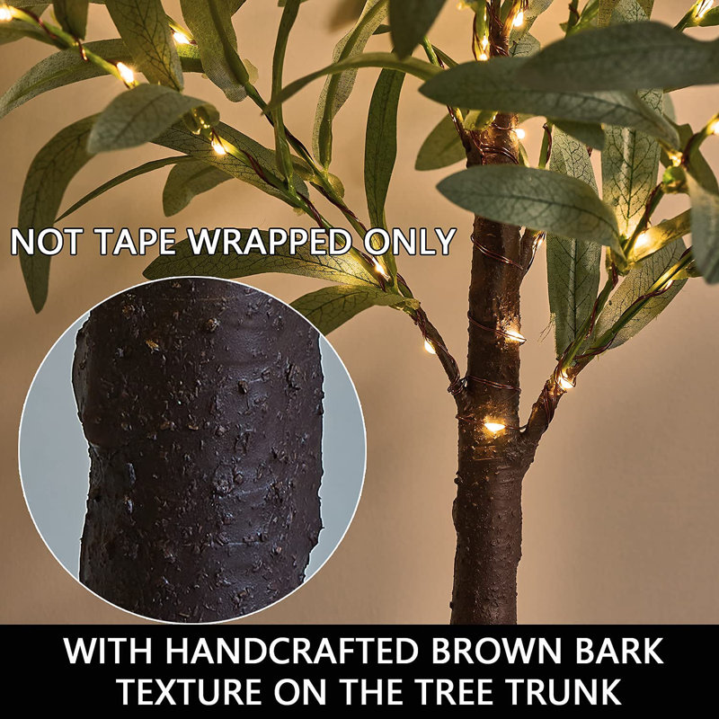 Little Lighted Bonsai Olive Tree with Timer