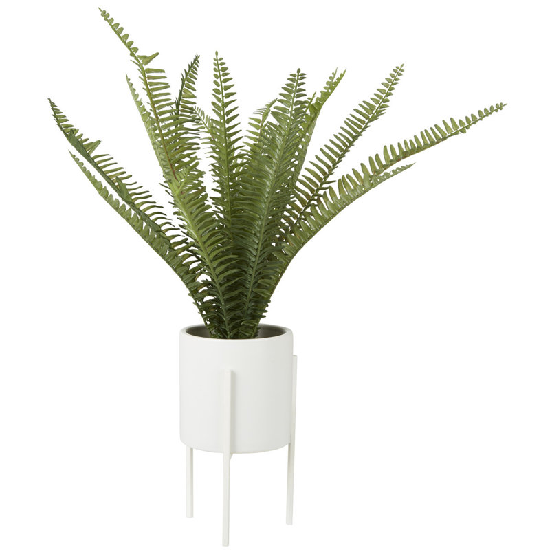 56cm Faux Fern Plant in Pot