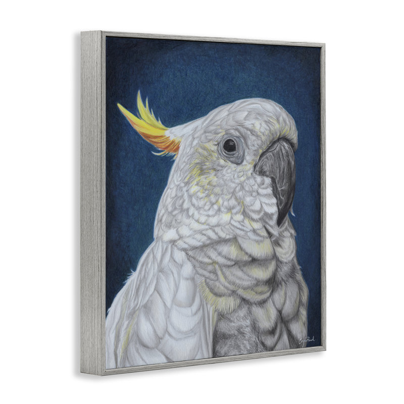 Art de giclée traditionnel de cacatoès par Connie Resch, Estampe numérique Farmhouse, H 30 po x l 24 po