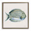 Cadre flottant Coastal Bliss Fish, design par Danhui Nai-1159194742-1159194740
