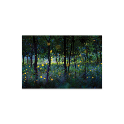 Magie des lucioles, reproduction sur verre acrylique